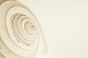 abstract snail spiral